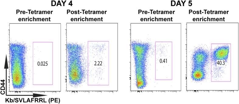 Figure 1—figure supplement 1.