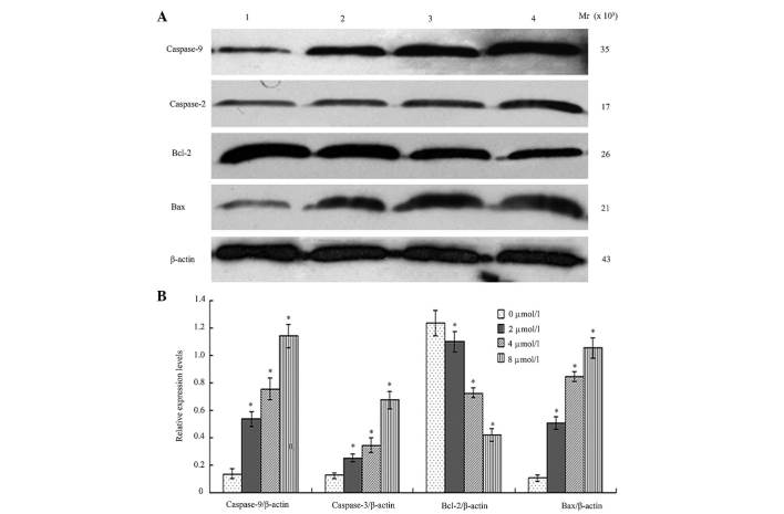 Figure 6.