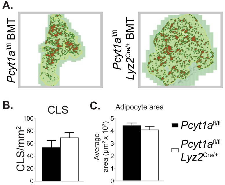 Figure 3—figure supplement 2.