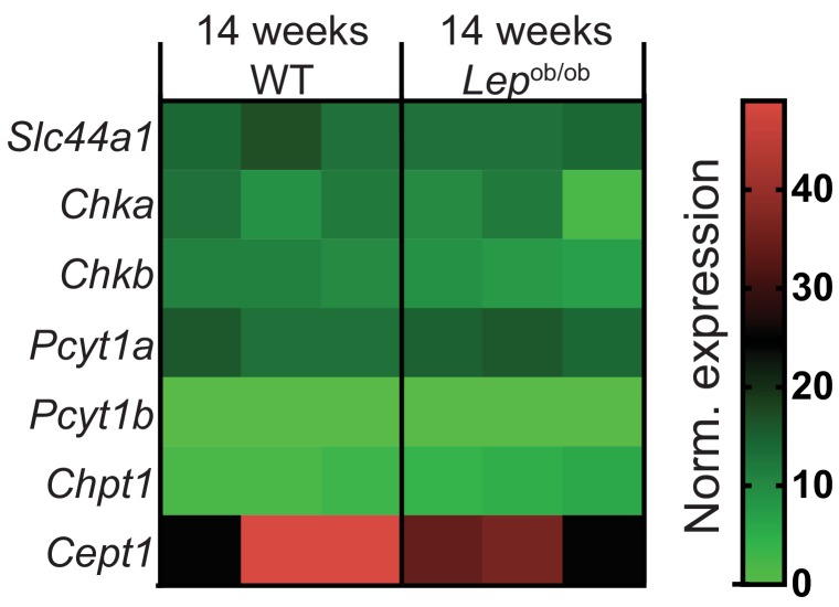 Figure 1—figure supplement 2.