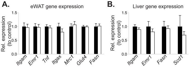 Figure 2—figure supplement 2.