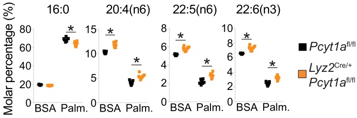 Figure 6—figure supplement 4.