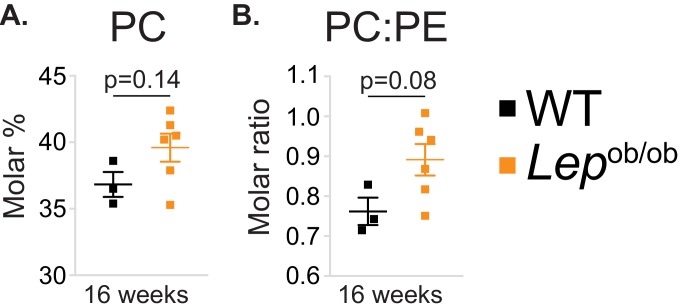 Figure 1—figure supplement 4.