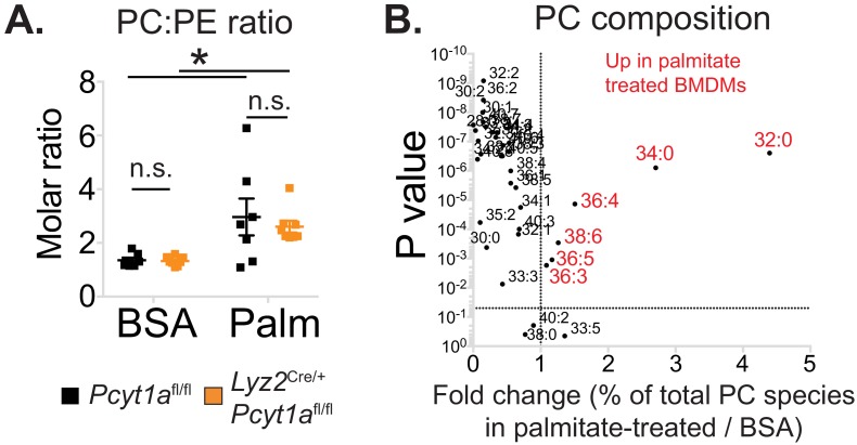 Figure 6—figure supplement 3.