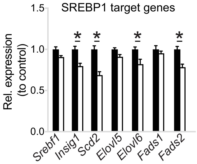 Figure 6—figure supplement 2.