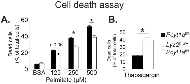 Figure 4—figure supplement 1.