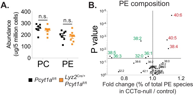 Figure 6—figure supplement 1.