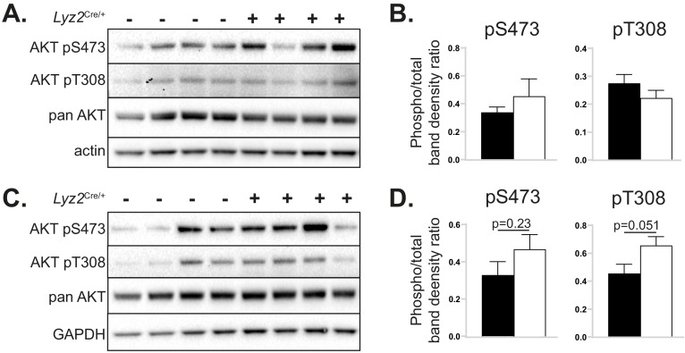 Figure 3—figure supplement 3.