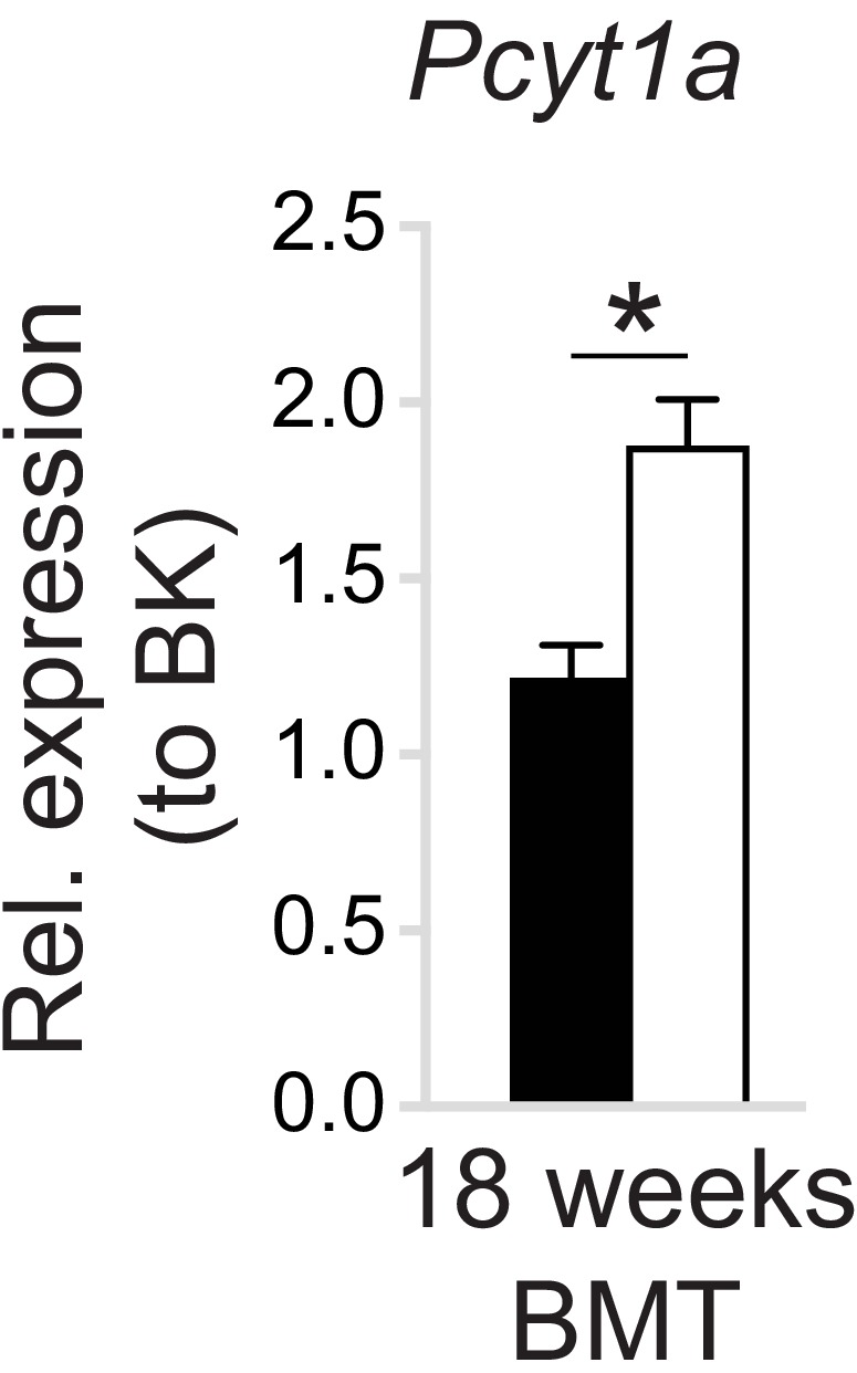 Figure 2—figure supplement 4.