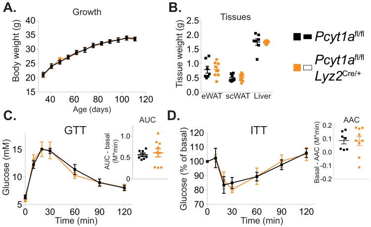 Figure 2—figure supplement 3.