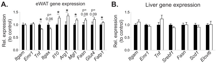 Figure 3—figure supplement 1.