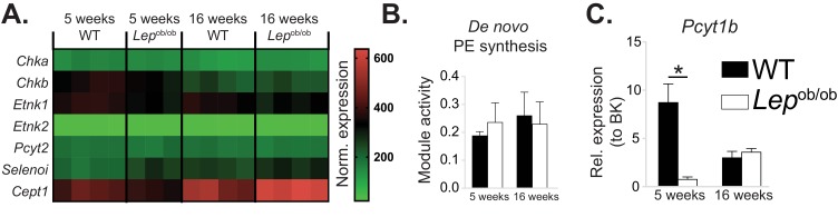 Figure 1—figure supplement 1.