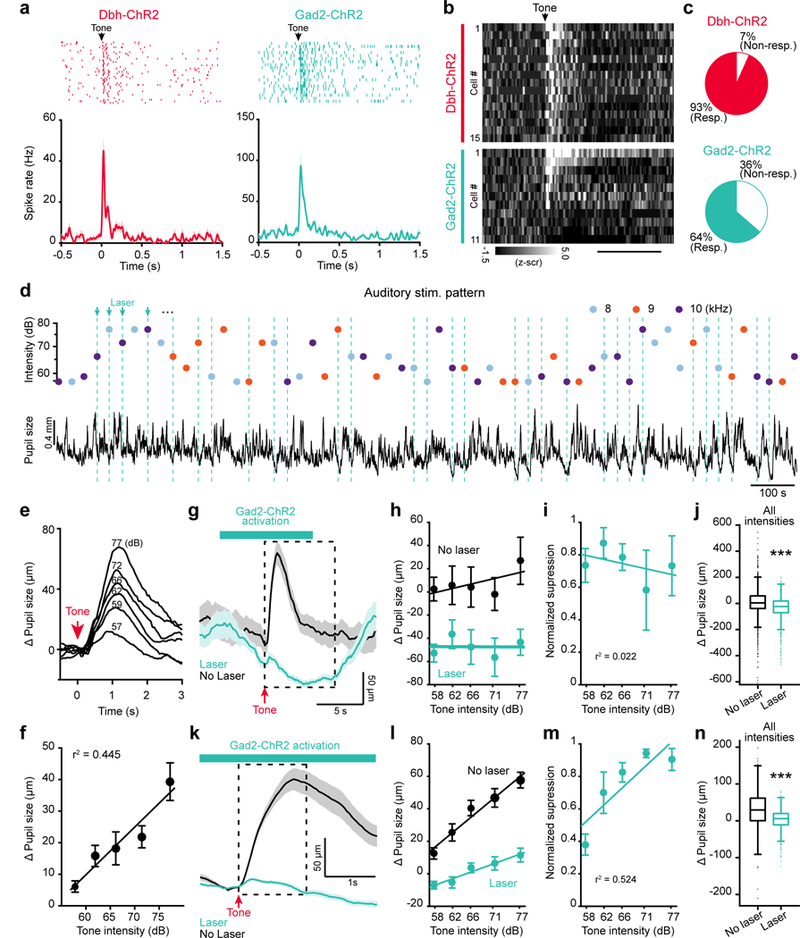 Figure 6: