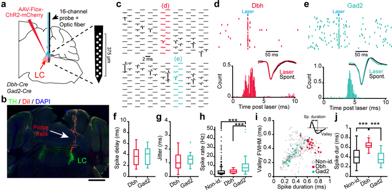 Figure 4: