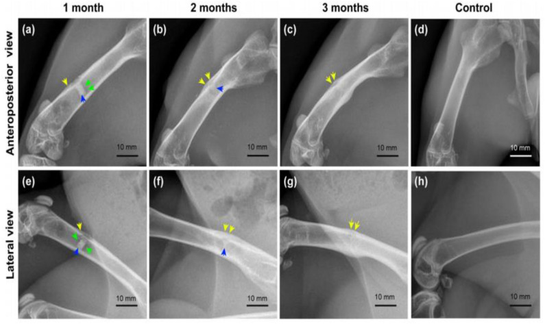 Figure 15