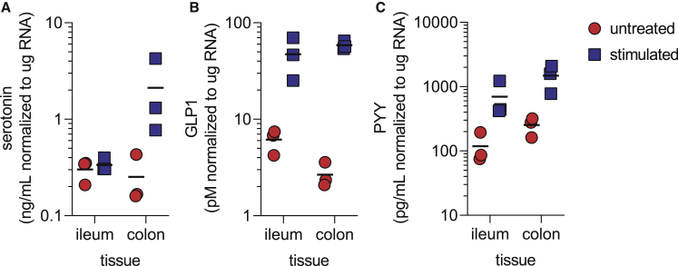 Figure 6