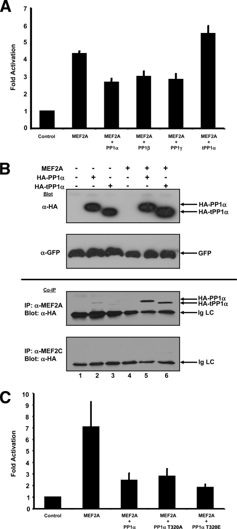 FIG. 5.