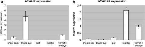 Fig. 3