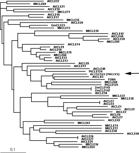 Fig. 6