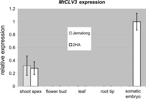 Fig.7