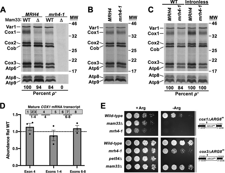 Figure 2.