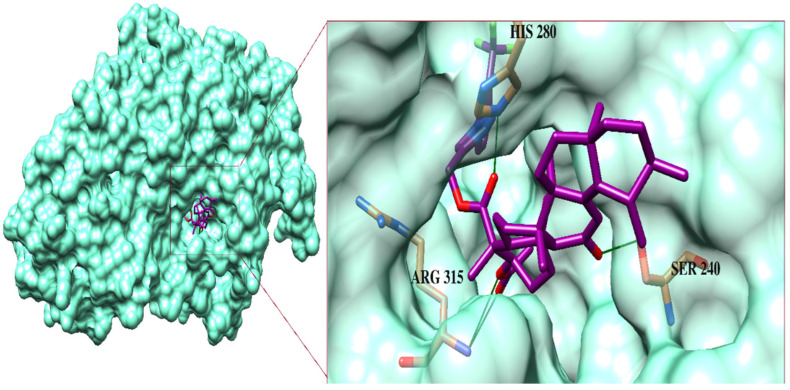 Figure 5