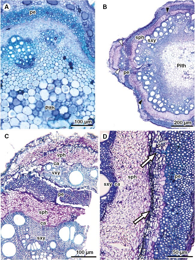 Fig. 9.