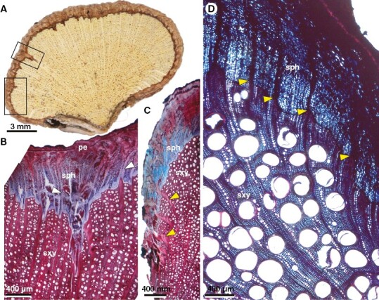 Fig. 7.