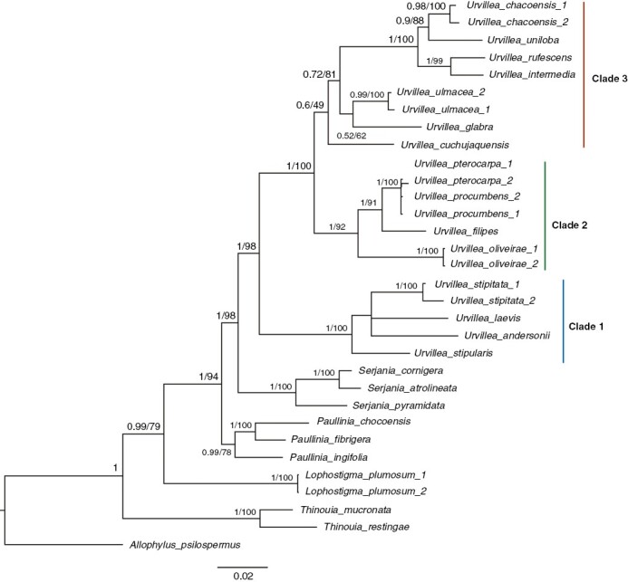 Fig. 10.