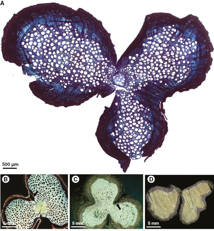 Fig. 6.