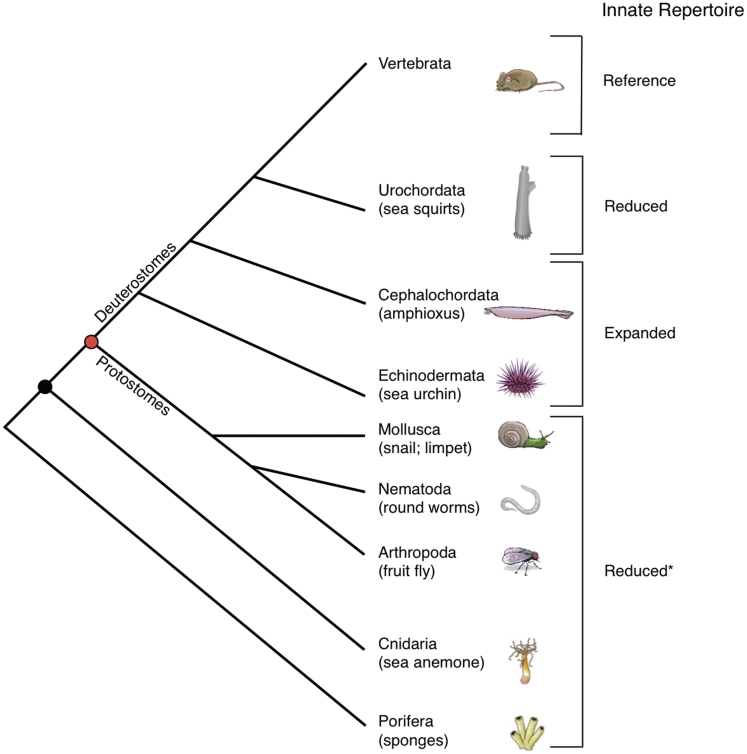 Figure 1: