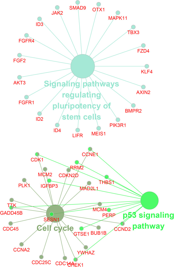 FIGURE 4