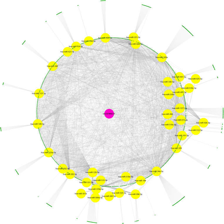 FIGURE 3