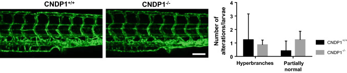 Fig. 4