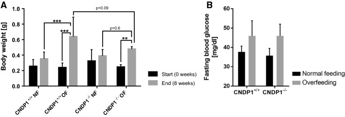 Fig. 11