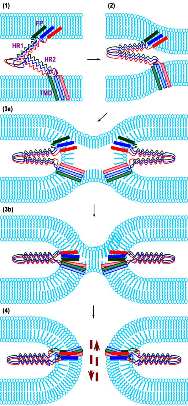 Figure 8