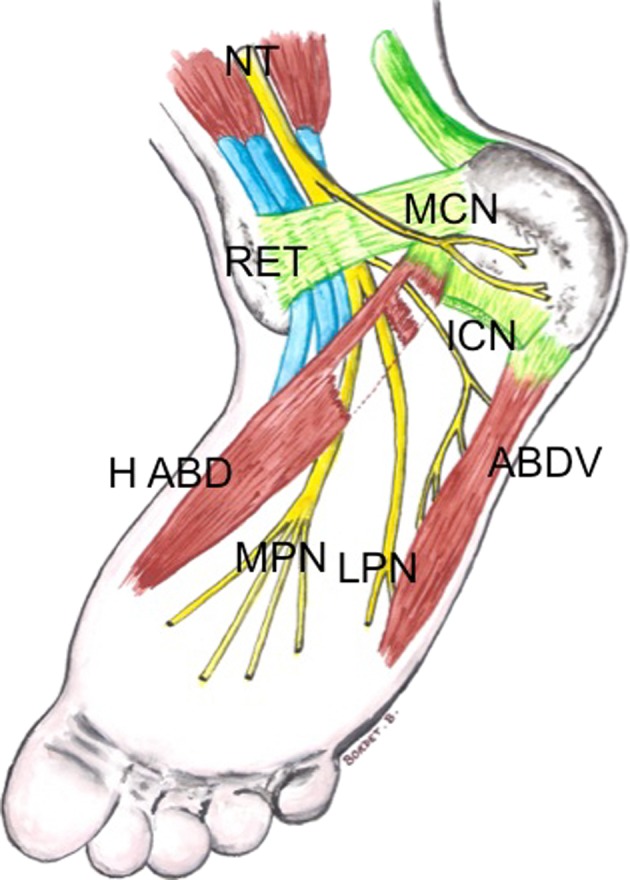 Fig. 1