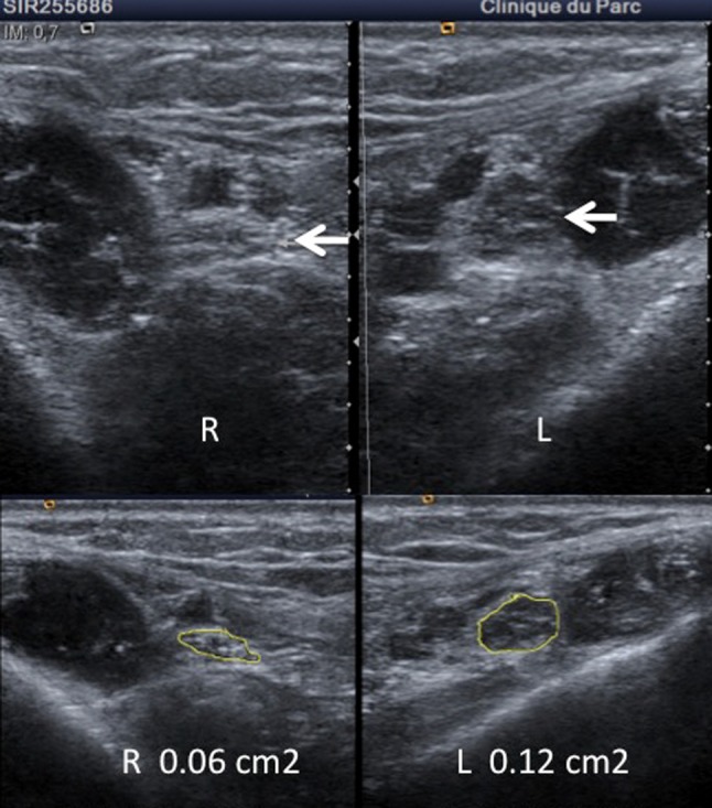 Fig. 6