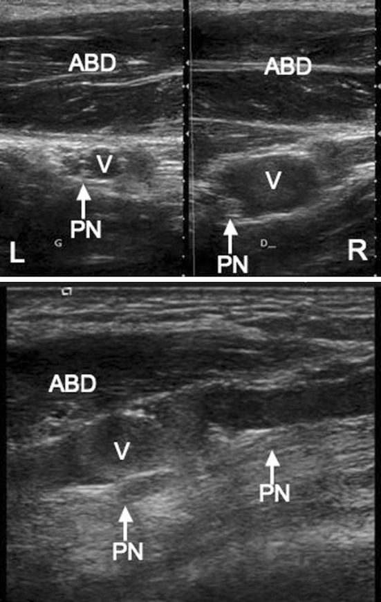 Fig. 7