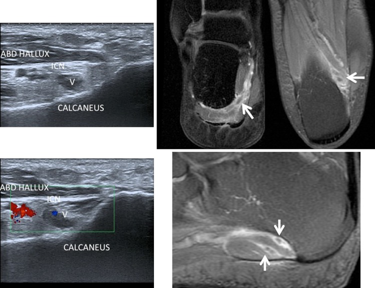 Fig. 8