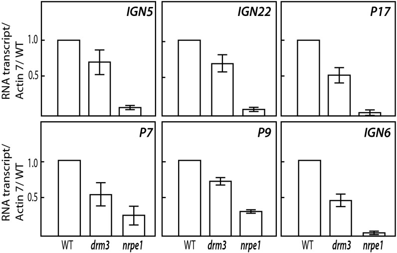 Fig. 6.