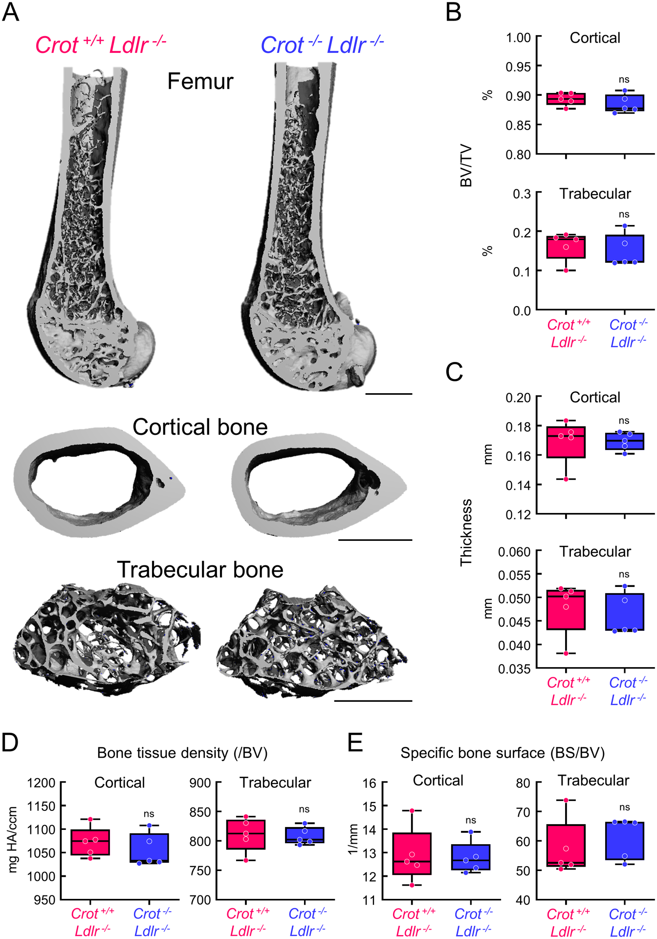 Figure 6.