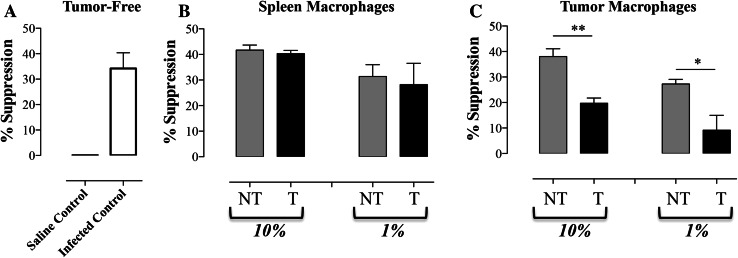 Fig. 7