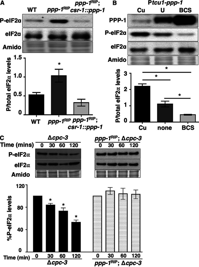 FIG 1