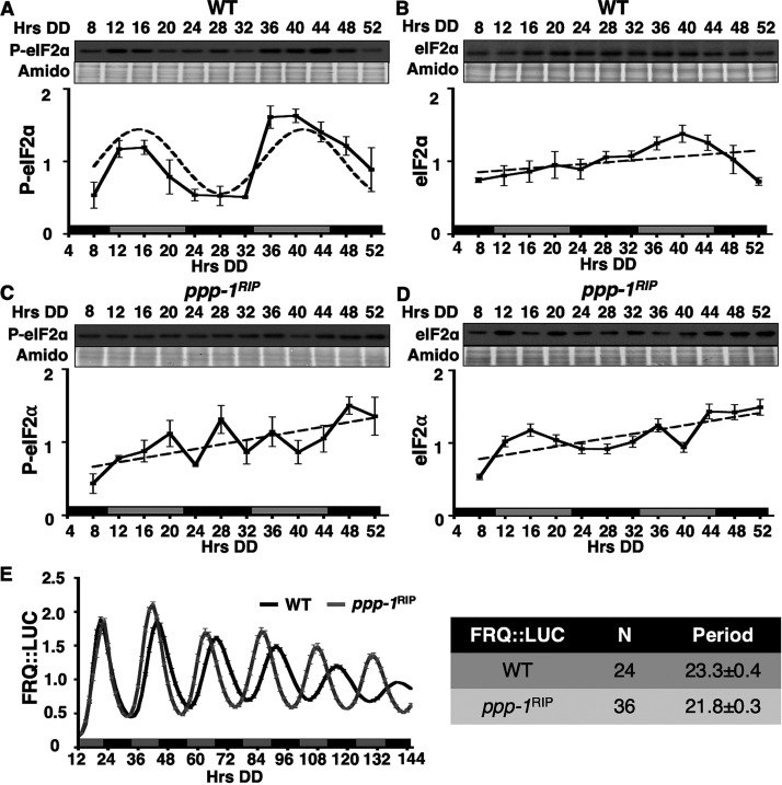 FIG 2