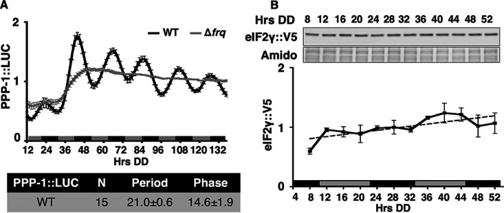 FIG 4