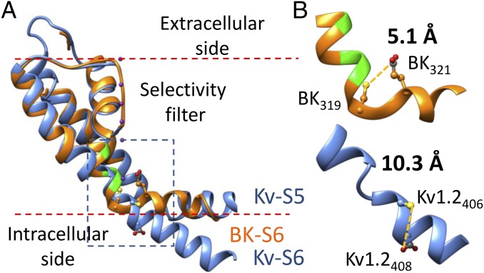 Fig. 5.