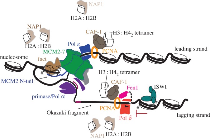 Figure 3.