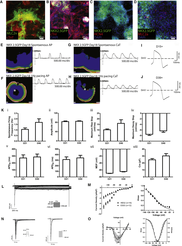 Figure 2