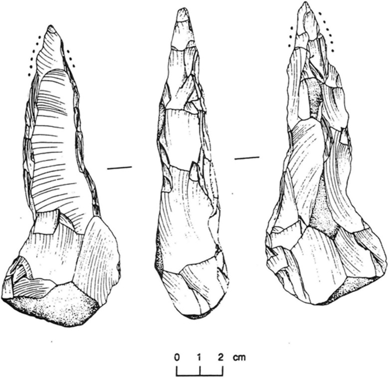 Fig. 7